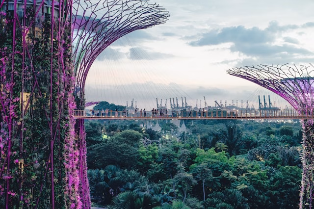 Singapour - Indonésie - unsplash