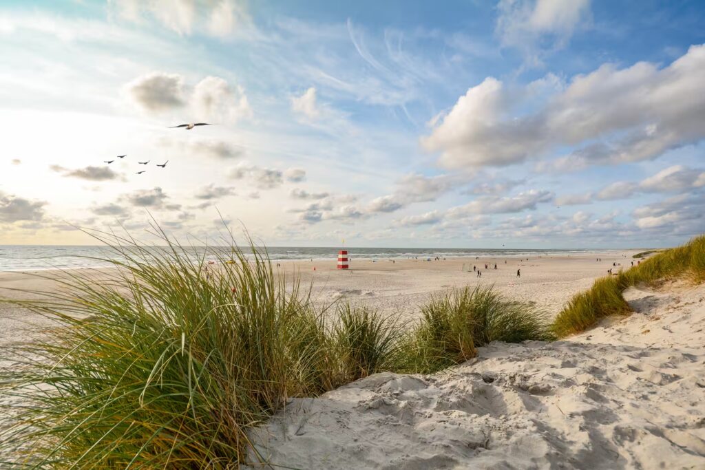 Vue sur le paysage avec plage et dunes de sable près de Henne Strand, paysage de la côte de la mer du Nord, Jutland Danemark