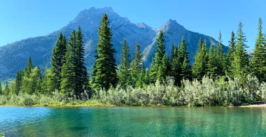 Montagnes recouvert de vegetations, arbezs et arbustes au bord d'une rivière, canada