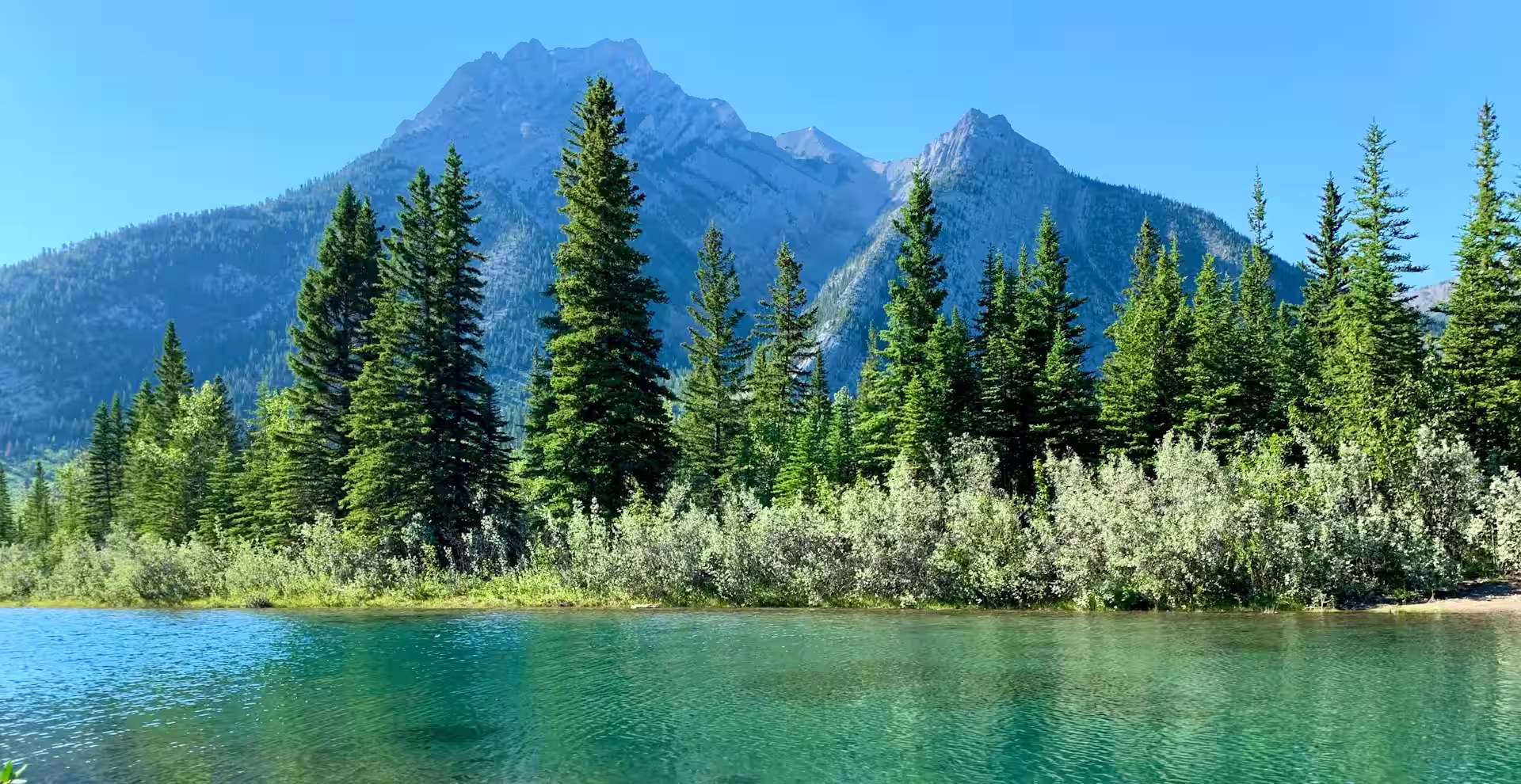Montagnes recouvert de vegetations, arbezs et arbustes au bord d'une rivière, canada