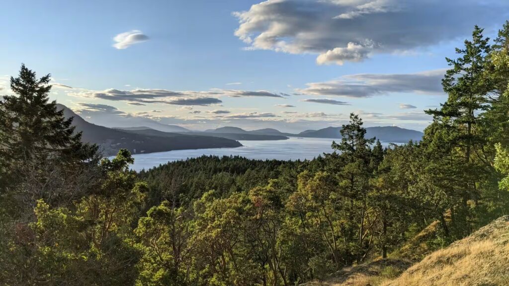 Mer, montagnes recouvertes d'arbres, canada