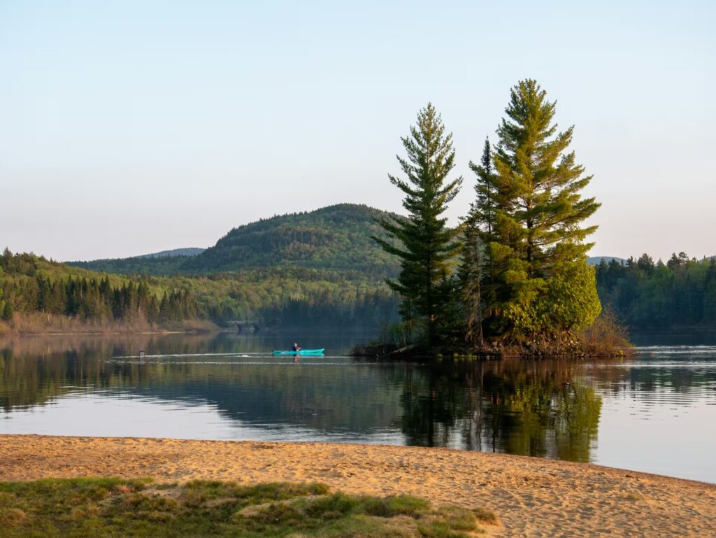 lac entouré de végétation et sapins, personne faisant du kayak, canada