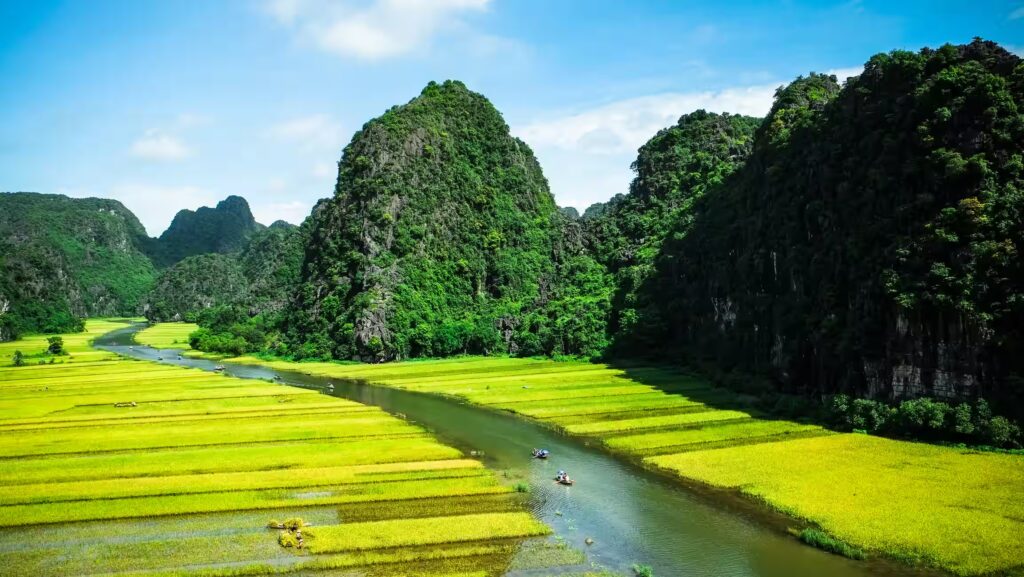 Riviere et rizieres avec petits bateaux et pains kartisques recouverts de végétations, Vietnam