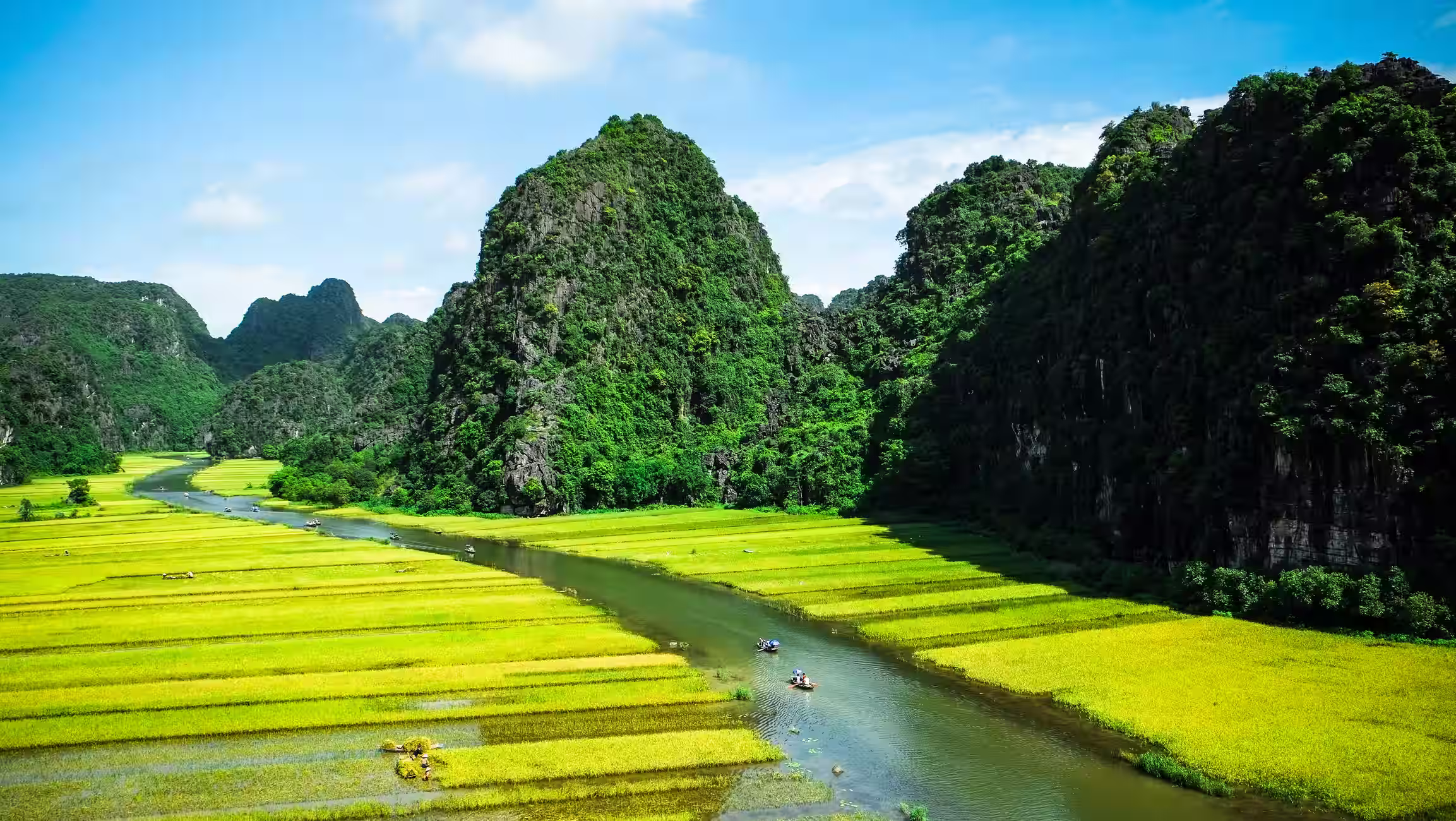 Riviere et rizieres avec petits bateaux et pains kartisques recouverts de végétations, Vietnam