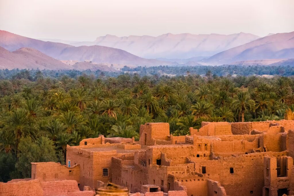 Vue sur une partie du village et de la palmeraie qui le borde et les montagnes en arriere plan