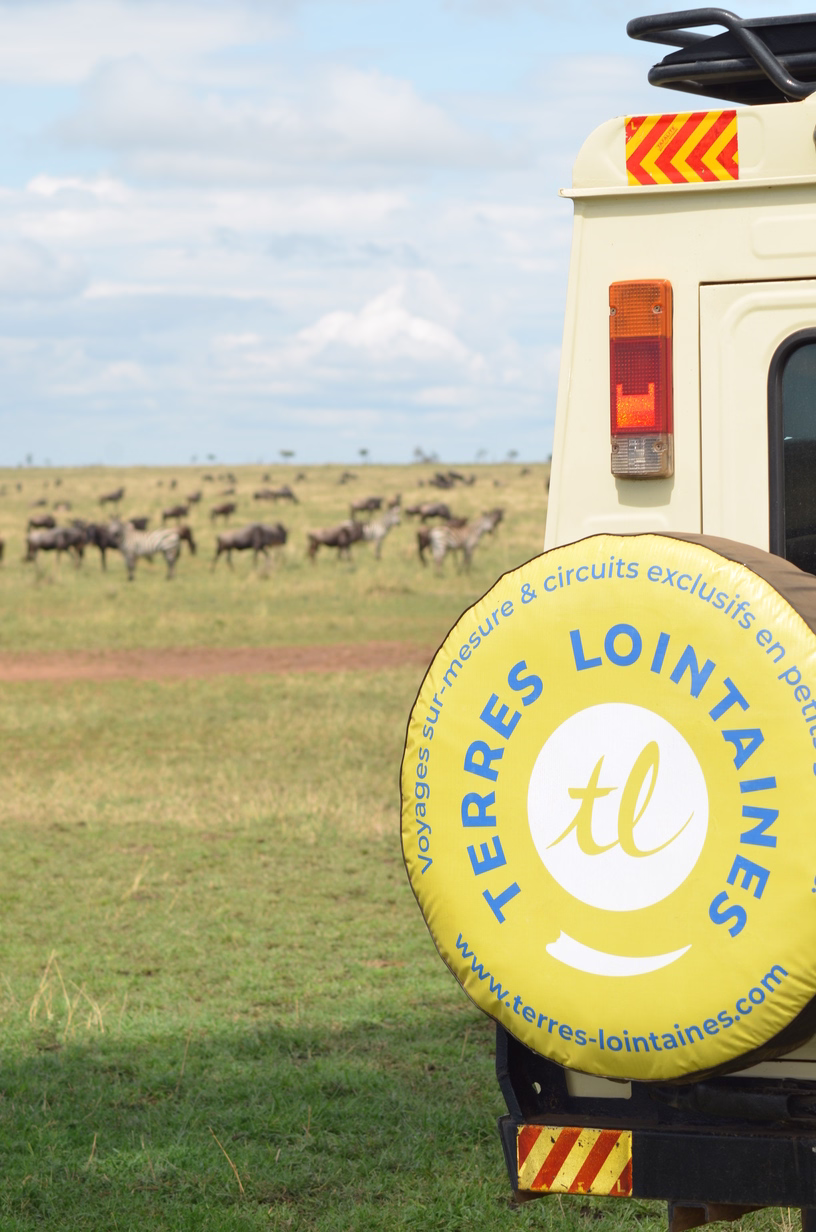Arriere d'un 4x4 de safari dans la savane et animaux au loin