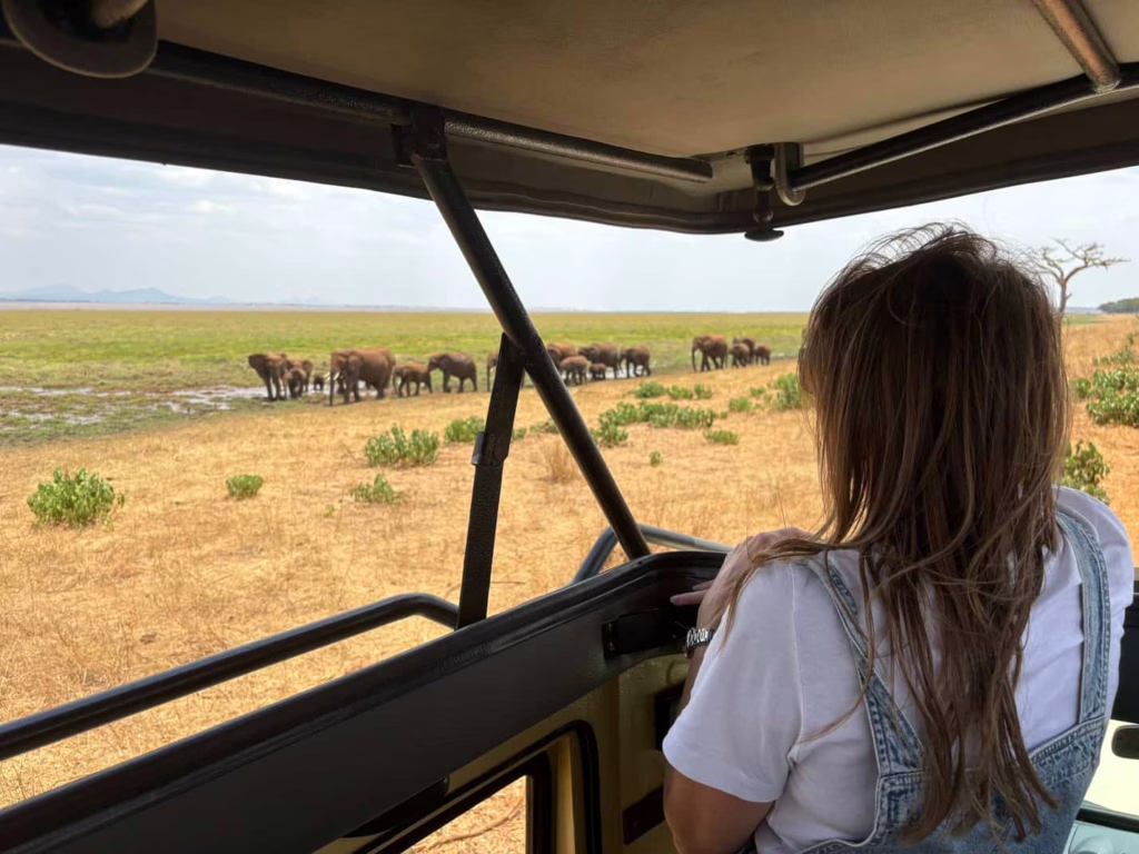 Une touriste observe un troupeau d'éléphants dans la savane depuis son 4x4 à toit ouvrant, Tanzanie