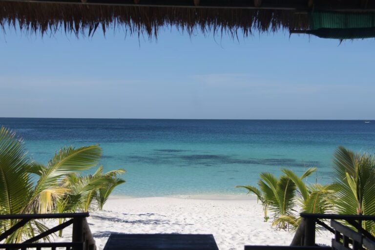 Vue sur la plage depuis une terrasse ombragée, ouverture donnant sur le sable ave cune allée de petits arbustes