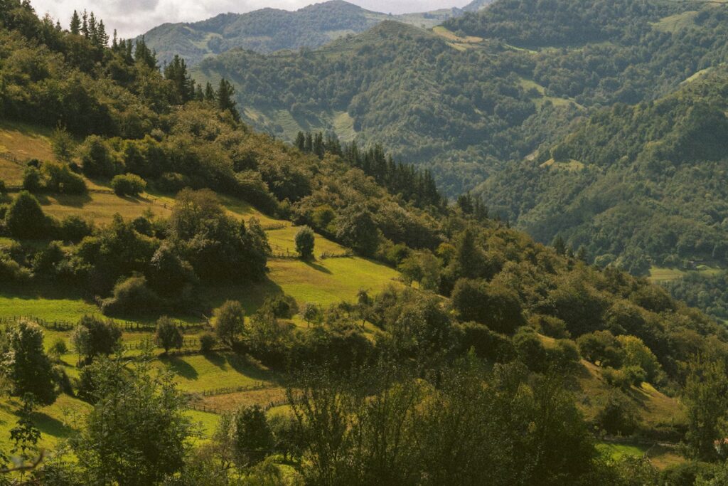 Montagnes recouvertes de végétations vertes
