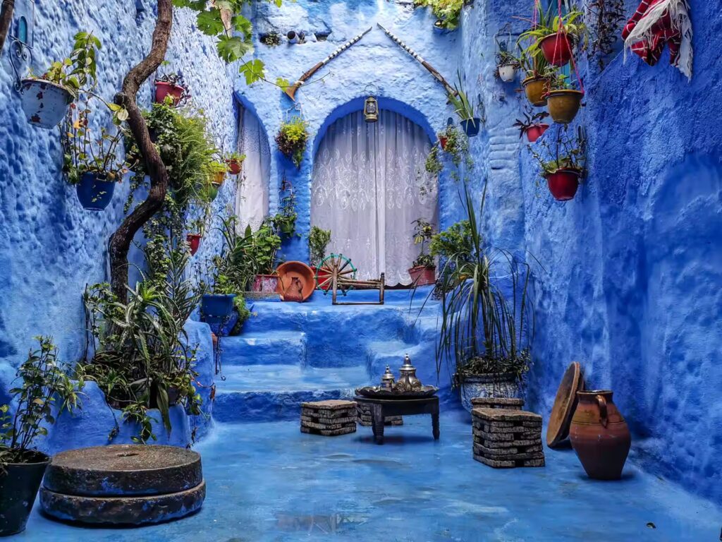 Cul de sac menant à une entrée de maison peinte toute en bleu avec des plantes