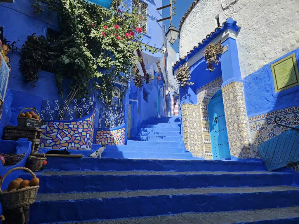 Escalier de rue montante avec batiments bleus et blanc et quelques mosaïques, plantes