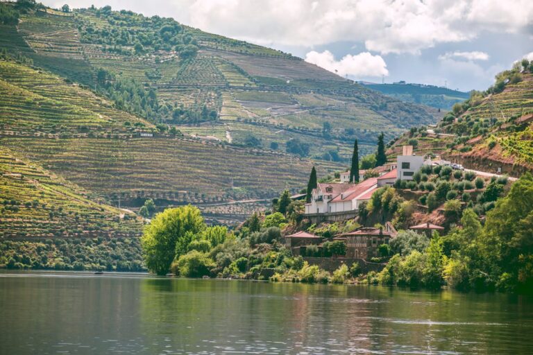 Vue du fleu sur les rives de collines où il y a des habitations, de la végétation et plantations