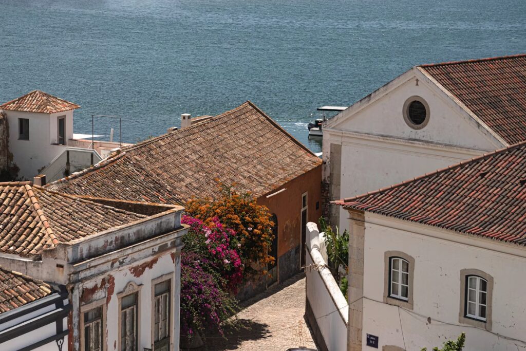 Vue aerienne de maisons blanche aux tuiles rouge orangées, la mer et un peu de fleurs