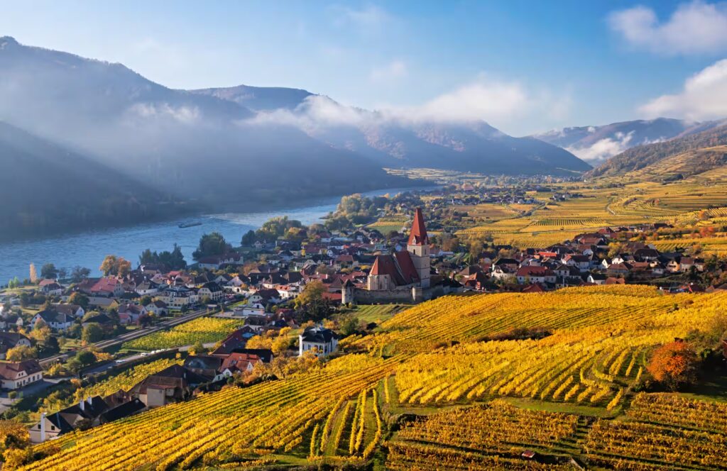Villagée de vignes au soleil couchant, maisons de village au bord d'un fleuve avec une eglise