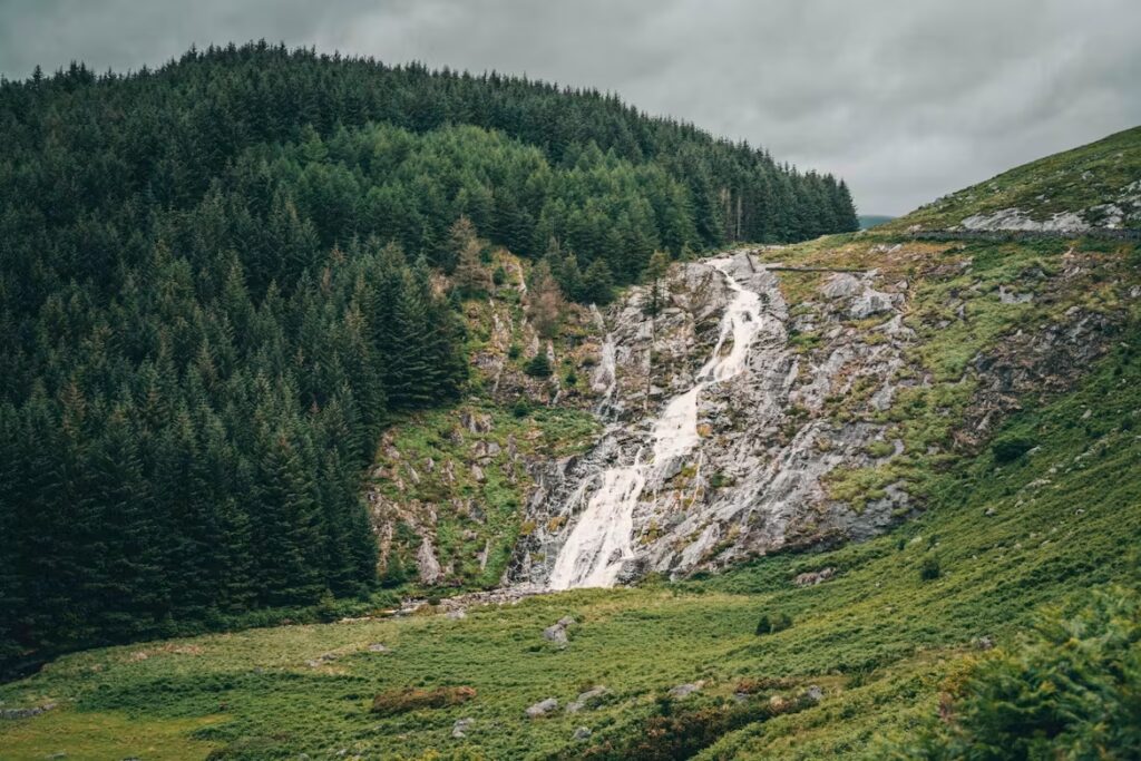 Cascade le long d'un falaise et a côté d'une forêt de sapin