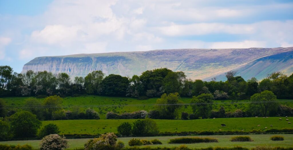 Paysages d'étendues de gazon et d'arbres et en arriere plan montagne avec falaise