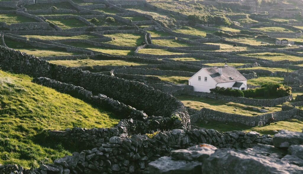 Comté de Galway, maison