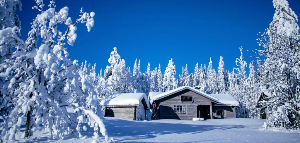 Cabane dans une forêt de sapins recouverts de neige, ciel bleu